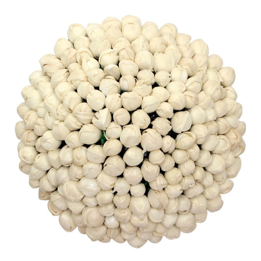 indoraa Women's White Color Juda Pin / Hair Pin